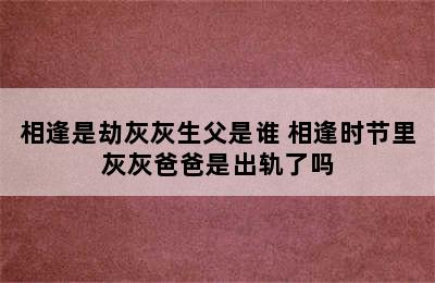 相逢是劫灰灰生父是谁 相逢时节里灰灰爸爸是出轨了吗